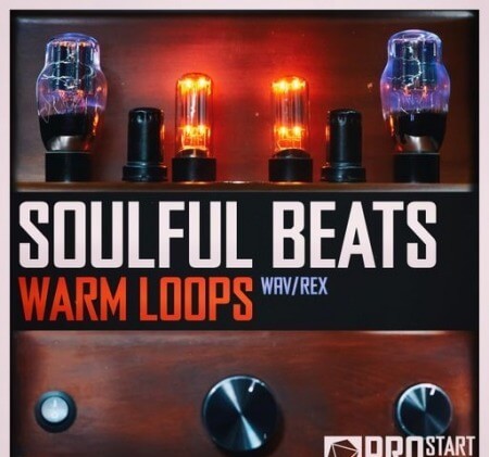 Beatrising Soulful Beats Warm Loops WAV